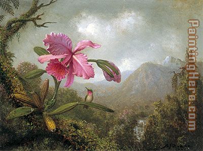 Orchid and Hummingbird near Mountain Waterfall painting - Martin Johnson Heade Orchid and Hummingbird near Mountain Waterfall art painting